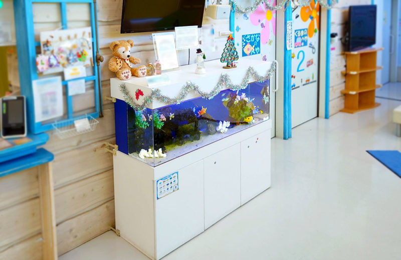 アニメ映画を再現!こどもクリニック様の150cm海水魚水槽・その後の様子 水槽画像5