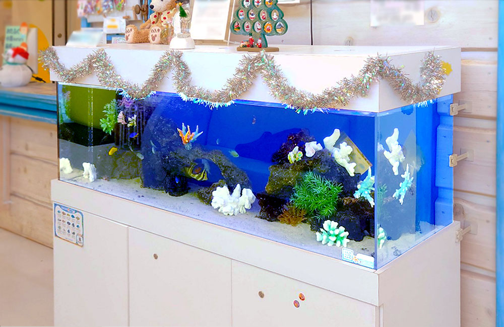 クリスマス装飾を施した海水魚水槽と白い水槽台