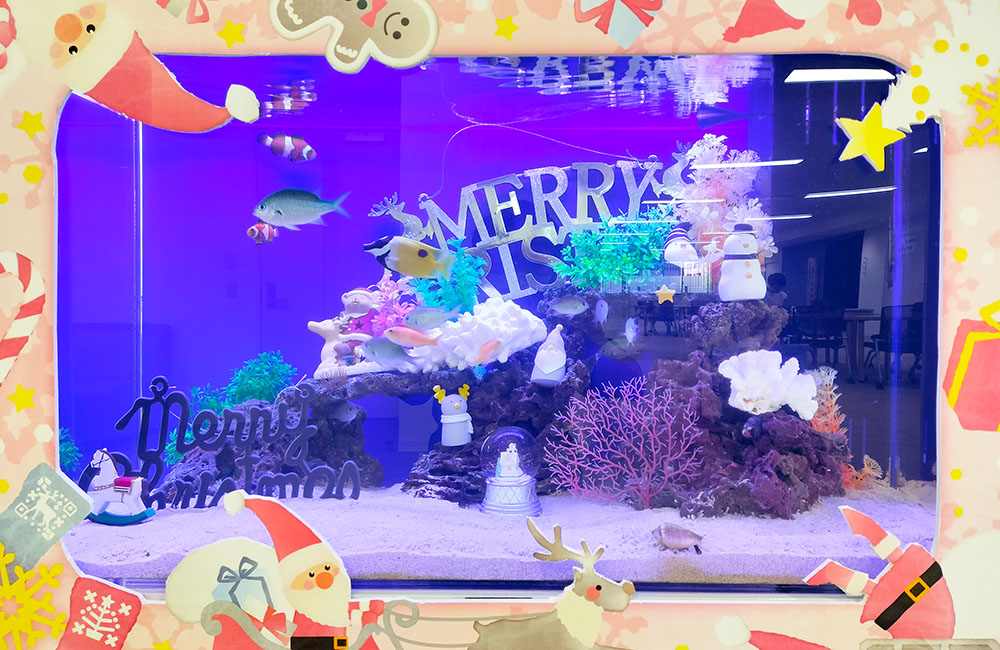 クリスマス装飾を施した海水魚水槽とサンタのフレーム