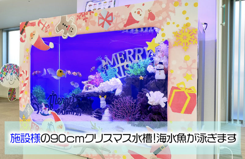 施設様のクリスマス水槽・その2!楽しい90cm海水アクアリウム 水槽画像1