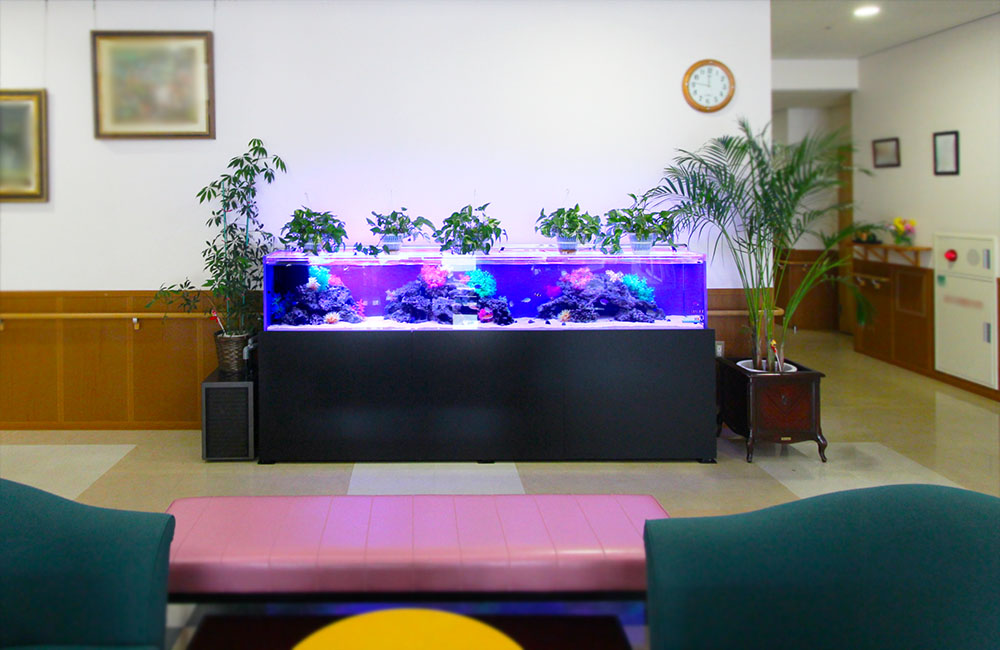 青い照明の大型水槽と観葉植物が並ぶロビーの風景