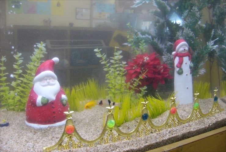 サンタとスノーマンの置物で飾られたクリスマス水槽