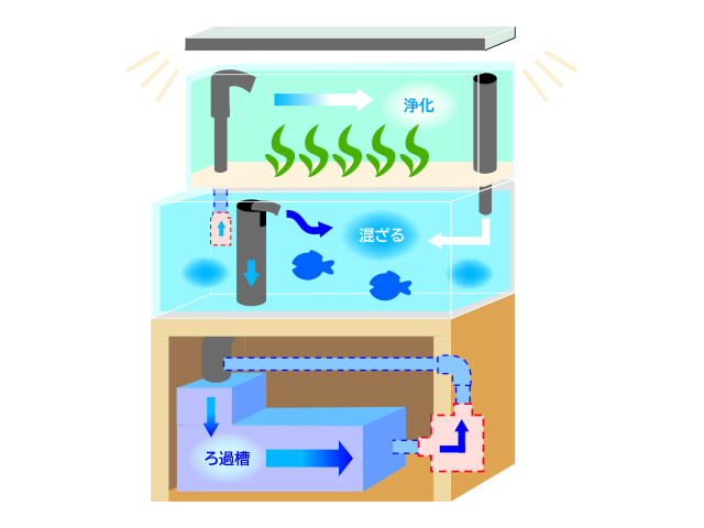 ろ過槽と水槽を循環する水の流れを示す仕組みの図解