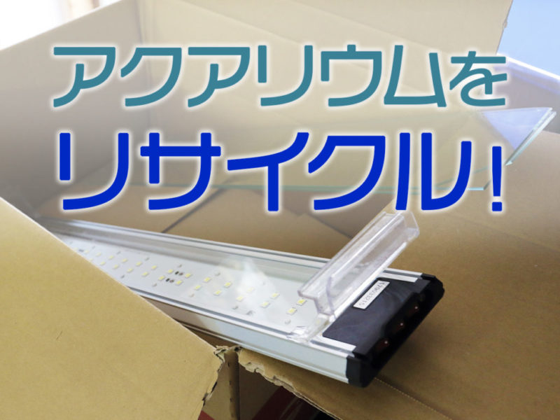 アクアリウムをリサイクルの文字と段ボール内のLED照明