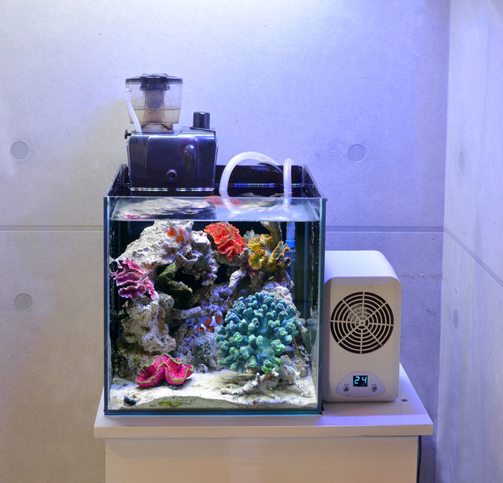 プロテインスキマーとクーラーを設置した海水魚水槽