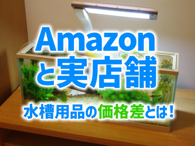 Amazonと実店舗の水槽用品価格差の見出し画像