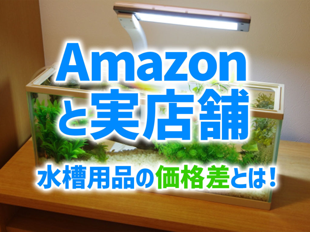 Amazonと店舗の価格差とは！価格例や水槽用品・生体のお得な購入方法のサムネイル画像