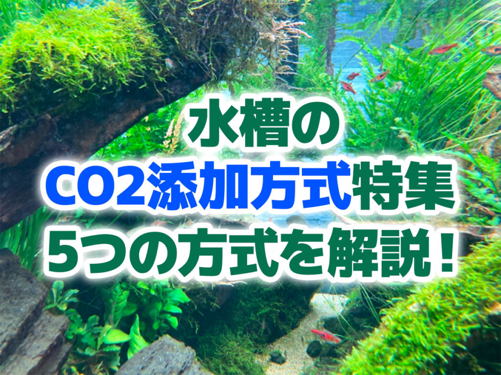 CO2添加の添加方式特集!5つの方式のメリット・デメリットを解説のサムネイル画像