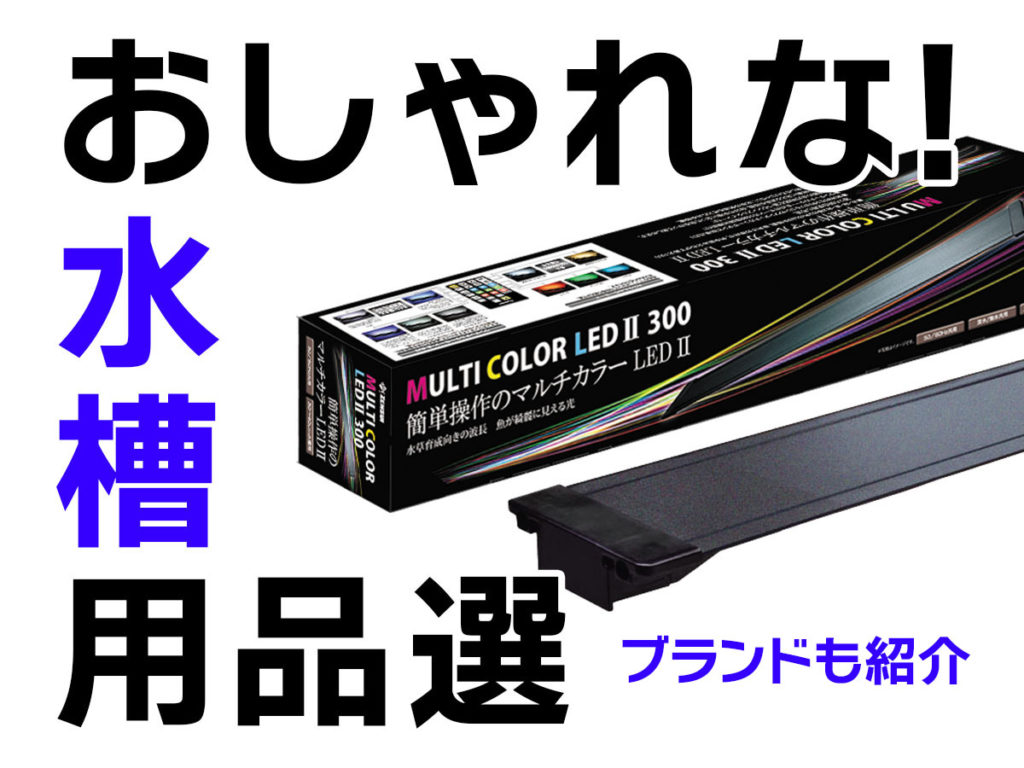 おしゃれな水槽用品8選!おしゃれなアクアリウムを演出する製品を紹介のサムネイル画像