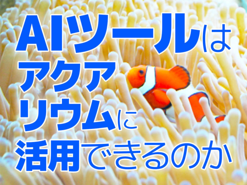 AIツールはアクアリウムに活用できるのかの見出し画像