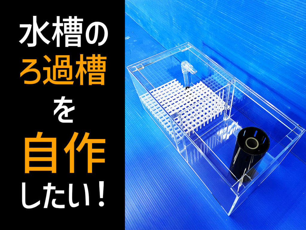 水槽のろ過槽を自作したい!素材と構造・層数のポイントなどを解説のサムネイル画像
