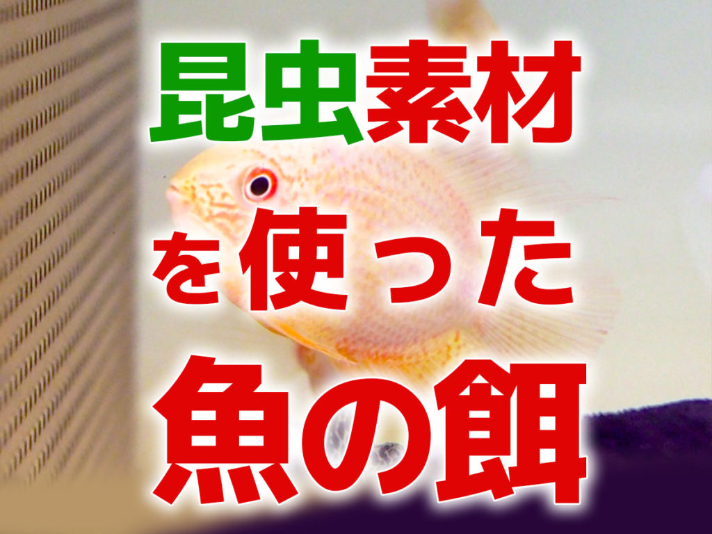 昆虫飼料の魚餌とは!アメリカミズアブなどの餌5選とメリットを解説のサムネイル画像