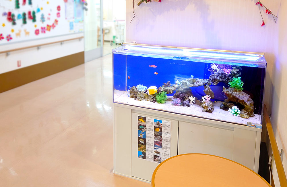 施設廊下に設置された海水魚水槽と魚の紹介掲示物