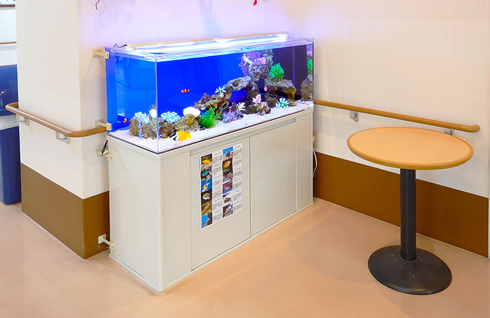 施設内に設置された海水魚水槽と丸テーブルの風景
