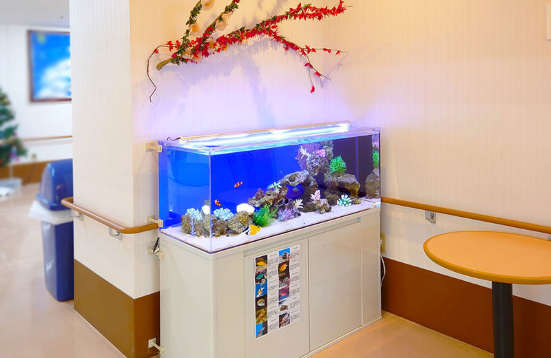 介護施設様の120cm海水魚水槽を定期メンテナンス！その後の様子 水槽画像５