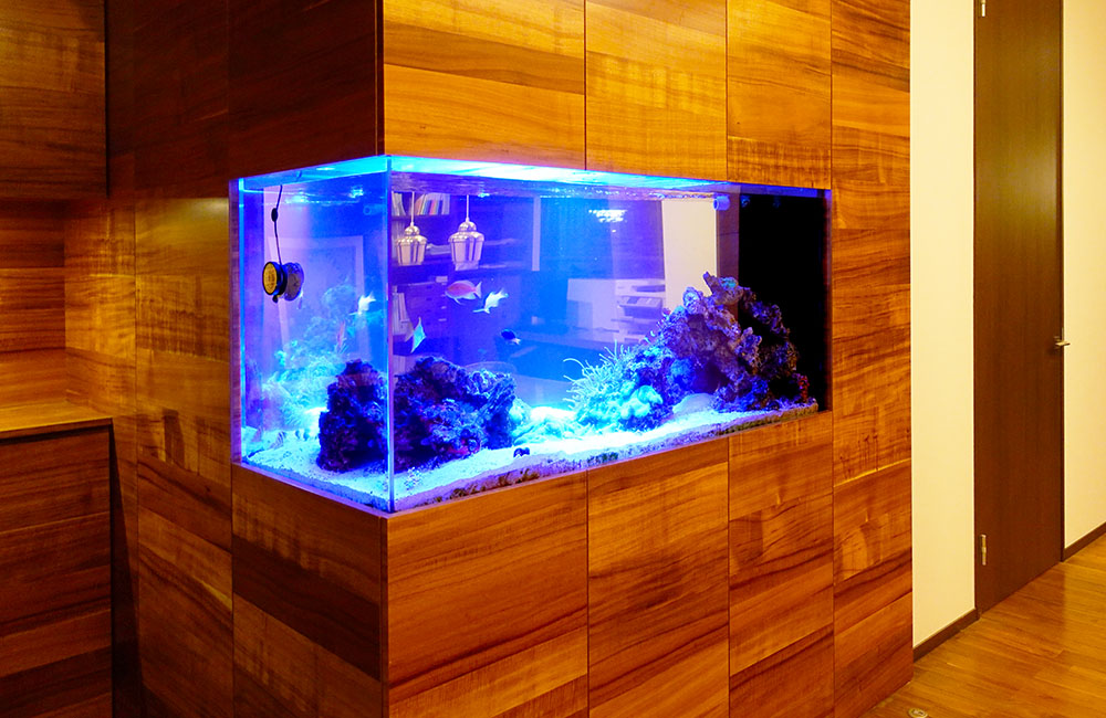 木目調の壁に埋め込まれた青い照明の大型海水魚水槽