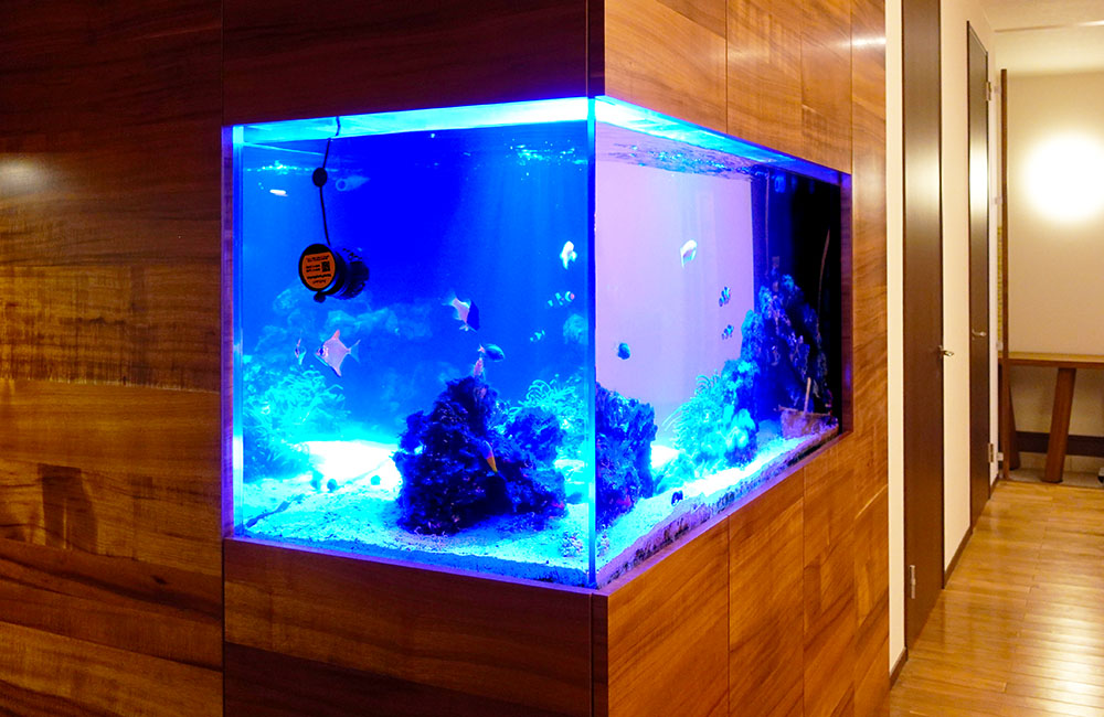 木目調の壁に埋め込まれた青い照明の大型海水魚水槽