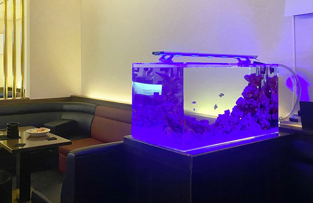 青い照明が灯る飲食店内の海水魚水槽とソファ席