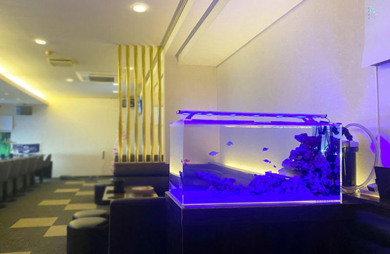 飲食店様の海水魚水槽を定期メンテナンス!外部フィルターで楽しむマリンアクアリウム 水槽画像5