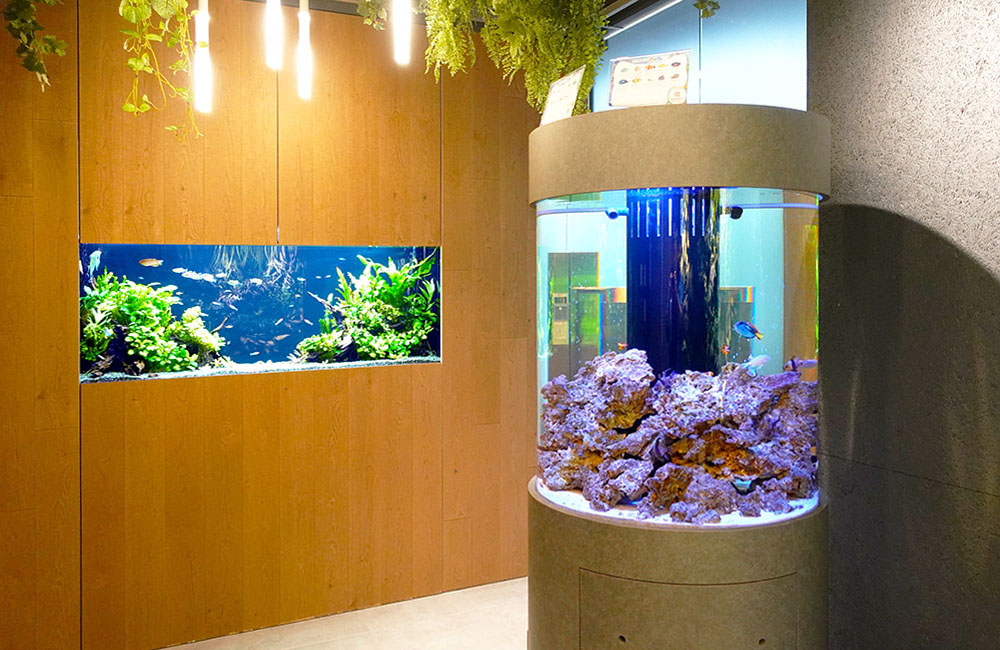 埋め込み式水草水槽と円柱型海水魚水槽が並ぶ室内風景