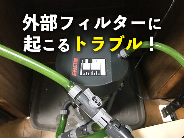 外部フィルターに起こるトラブルの文字入り見出し画像