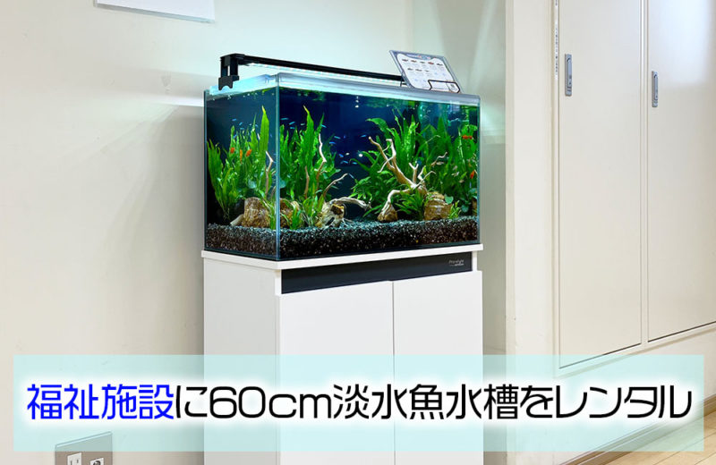 社会福祉法人同胞会ベテル事業所どうほうの家様に淡水魚水槽レンタル！ 水槽画像１