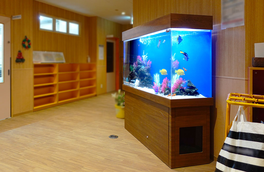 木目調の台に設置された海水魚が泳ぐ大型水槽