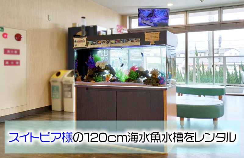 スイトピア様のカフェスペースに設置!120cm水槽をレンタル・その後 水槽画像1