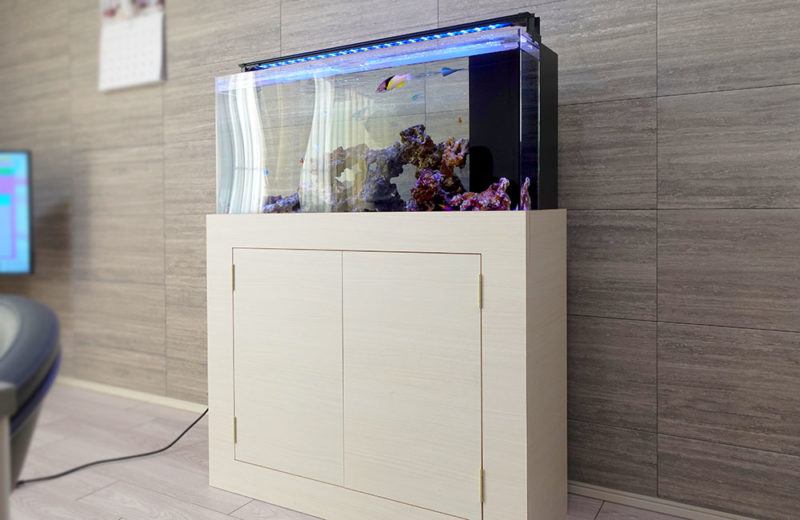 個人宅様に海水魚水槽をレンタル!透明感が美しいアクアリウム 水槽画像2