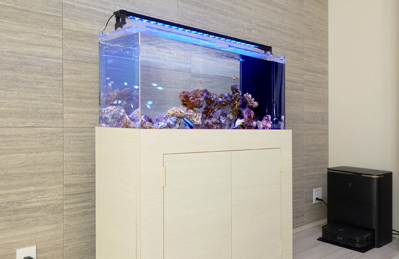 個人宅様に海水魚水槽をレンタル!透明感が美しいアクアリウム 水槽画像5