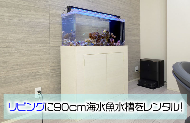 個人宅様に海水魚水槽をレンタル!透明感が美しいアクアリウム 水槽画像1
