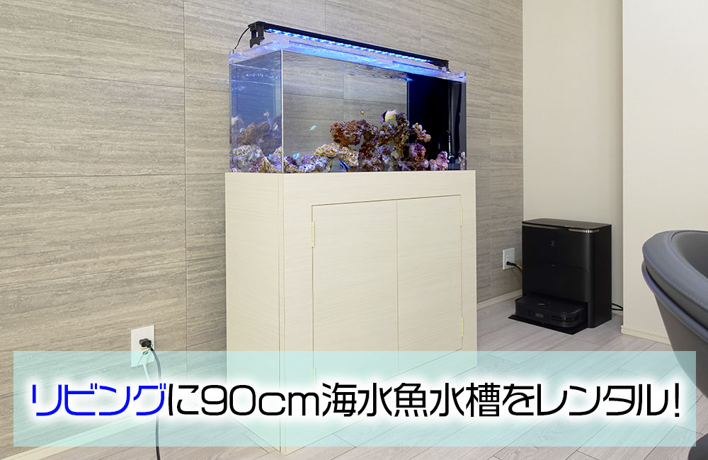 個人宅様に海水魚水槽をレンタル！透明感が美しいアクアリウム