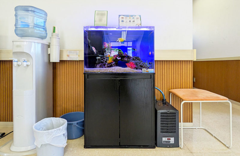 クリニック様の60cm海水魚水槽・10年目の様子!定期メンテナンス事例 水槽画像2