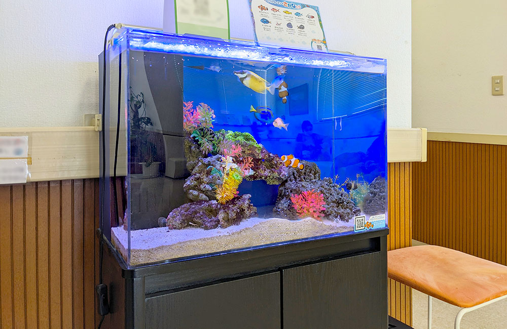 海水魚と人工サンゴを配置した青い背景の熱帯魚水槽