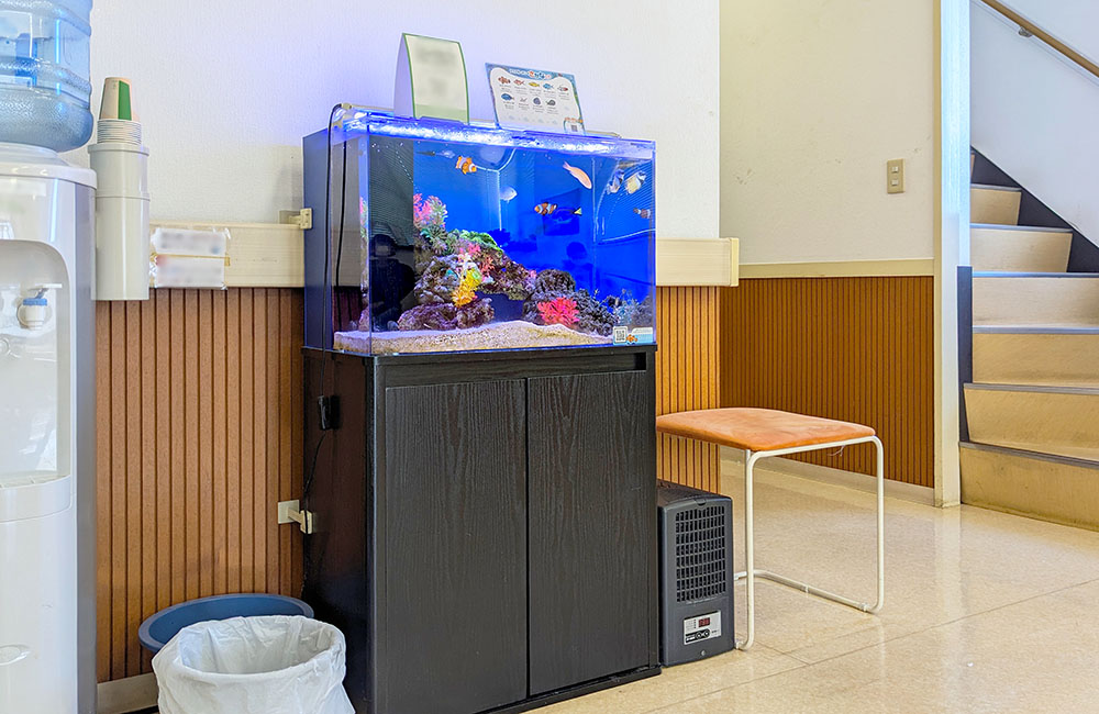 待合室に設置された海水魚水槽と黒い水槽台の風景