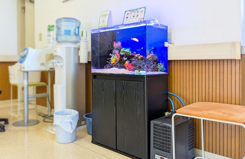 待合室に設置された海水魚水槽と黒い水槽台
