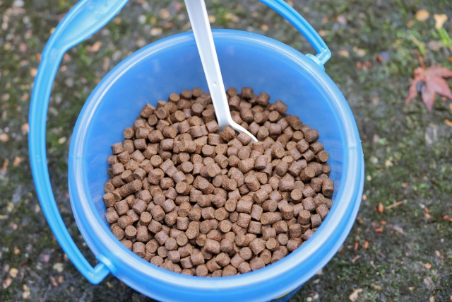 青いバケツに入った大量の固形飼料と白いスプーン