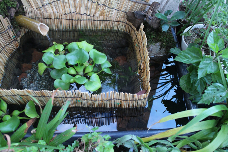竹筒から水が流れる浮き草を浮かべた和風のビオトープ