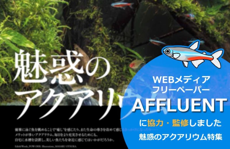 WEBメディア・フリーペーパー『AFFLUENT』に取材協力!「魅惑のアクアリウム」を監修しましたサムネイル