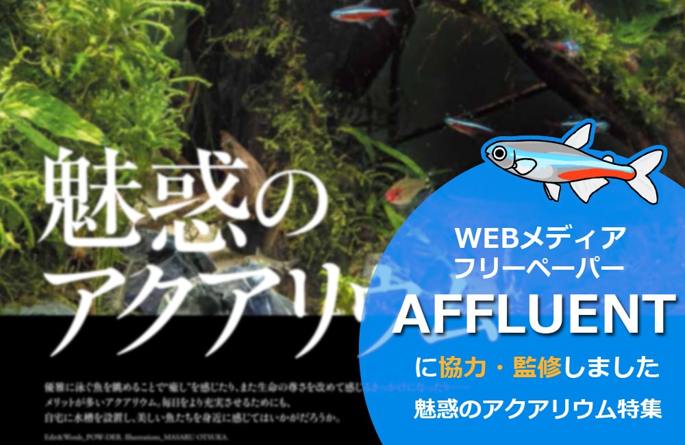 WEBメディア・フリーペーパー『AFFLUENT』に取材協力!「魅惑のアクアリウム」を監修しましたのサムネイル画像