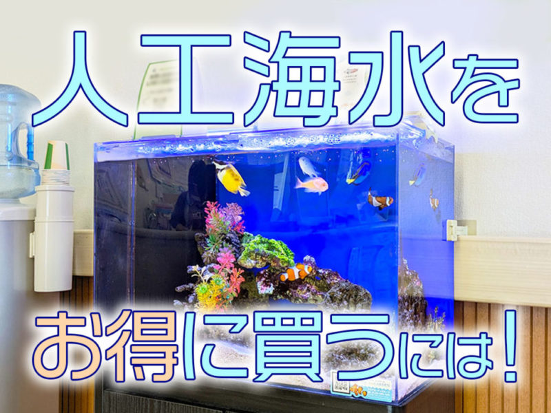 人工海水をお得に買うには!の文字と海水魚水槽の見出し画像