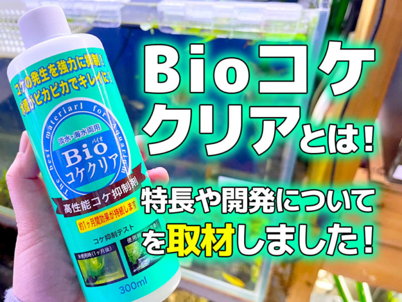 Bioコケクリアの特長や開発の取材に関する見出し画像