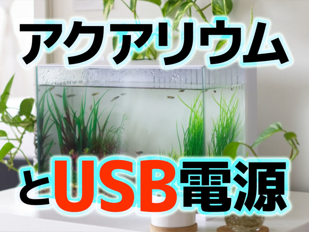 アクアリウムとUSB!USB電源で便利な水槽機材8選を紹介しますのサムネイル画像