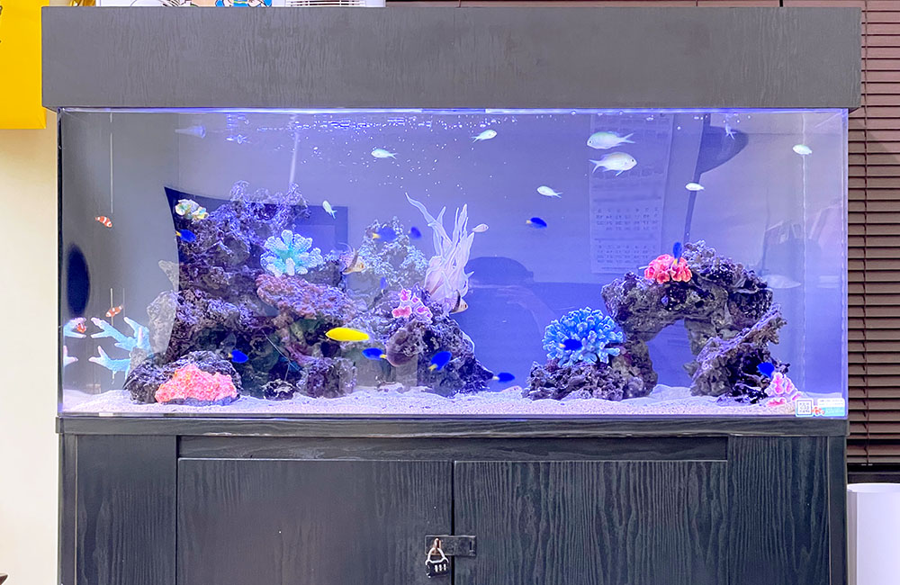 青い照明の海水魚水槽と泳ぐスズメダイやサンゴ岩の装飾