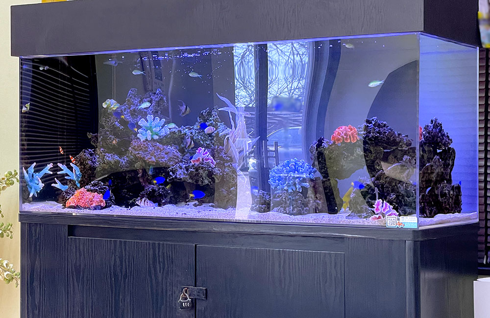 青い照明の海水魚水槽とカラフルな人工サンゴのレイアウト