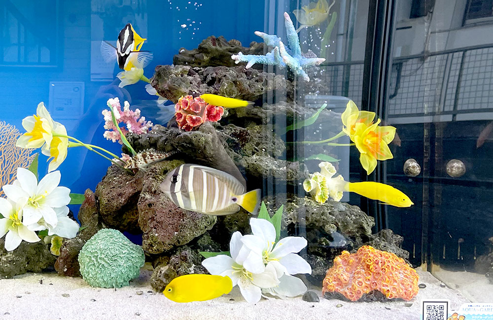 造花と海水魚が泳ぐサンゴ岩のレイアウト水槽