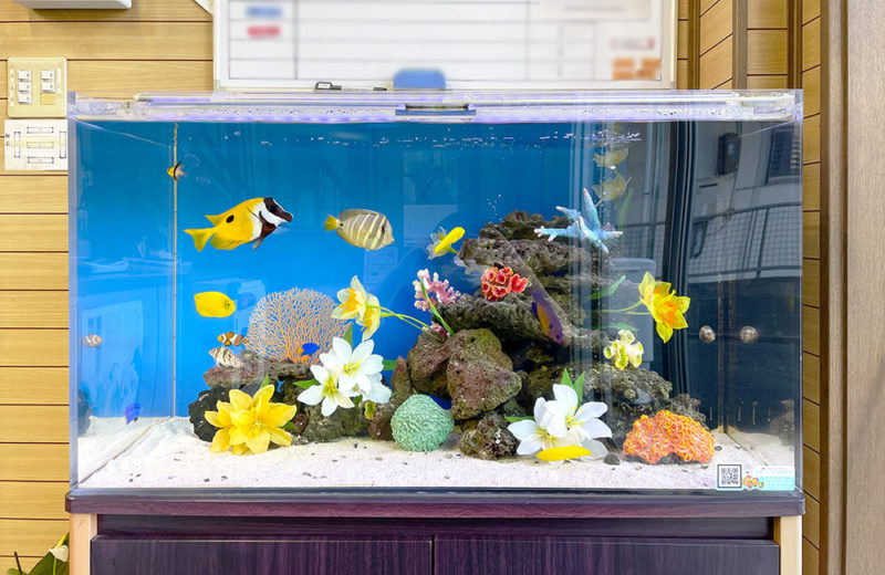 造花と海水魚が泳ぐサンゴ岩レイアウトの海水水槽