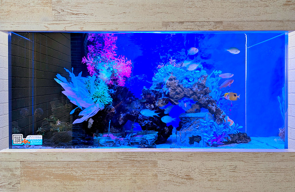 青い照明の海水魚水槽と人工サンゴのレイアウト