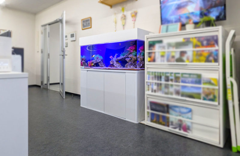 企業様の事務所に水槽レンタル!120cm海水魚水槽・その後 水槽画像5