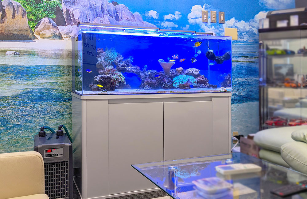 白い水槽台に設置された海水魚水槽と水槽用クーラー